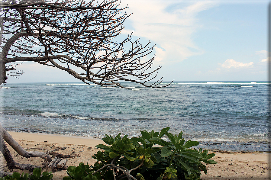 foto Spiagge dell'Isola di Oahu